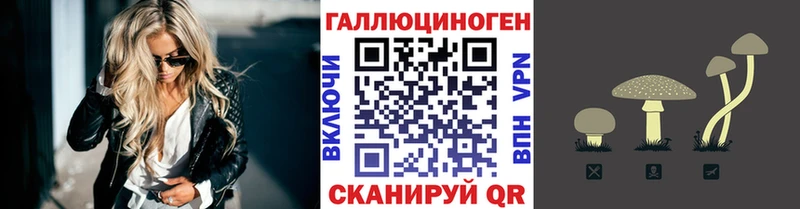 блэк спрут ТОР  Каменка  Галлюциногенные грибы MAGIC MUSHROOMS 
