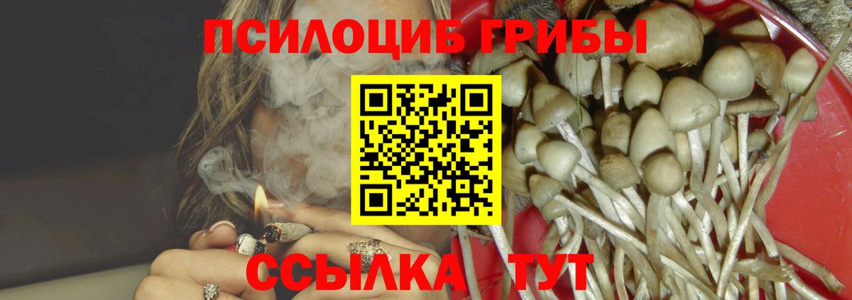 купить наркоту  Псилоцибиновые грибы Cubensis  Вход с VPN  Каменка 